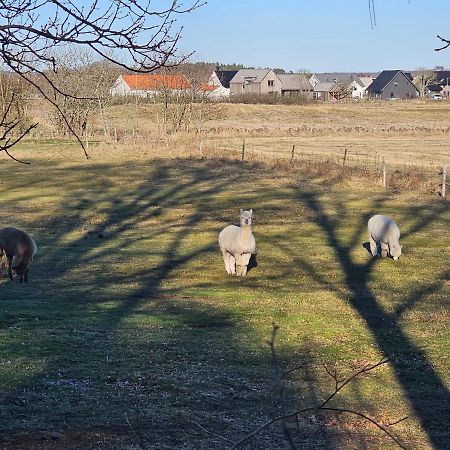 Attefallshus Naera Havet Norranaes Varberg Eksteriør bilde
